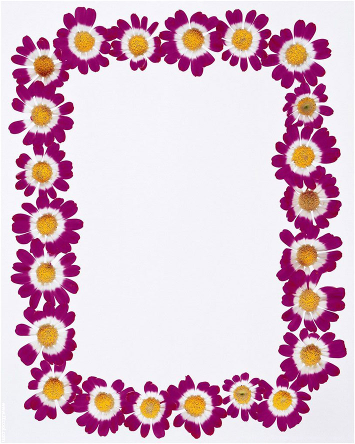 8 Best Images Of Printable Paper Border Designs Free Printable Paper