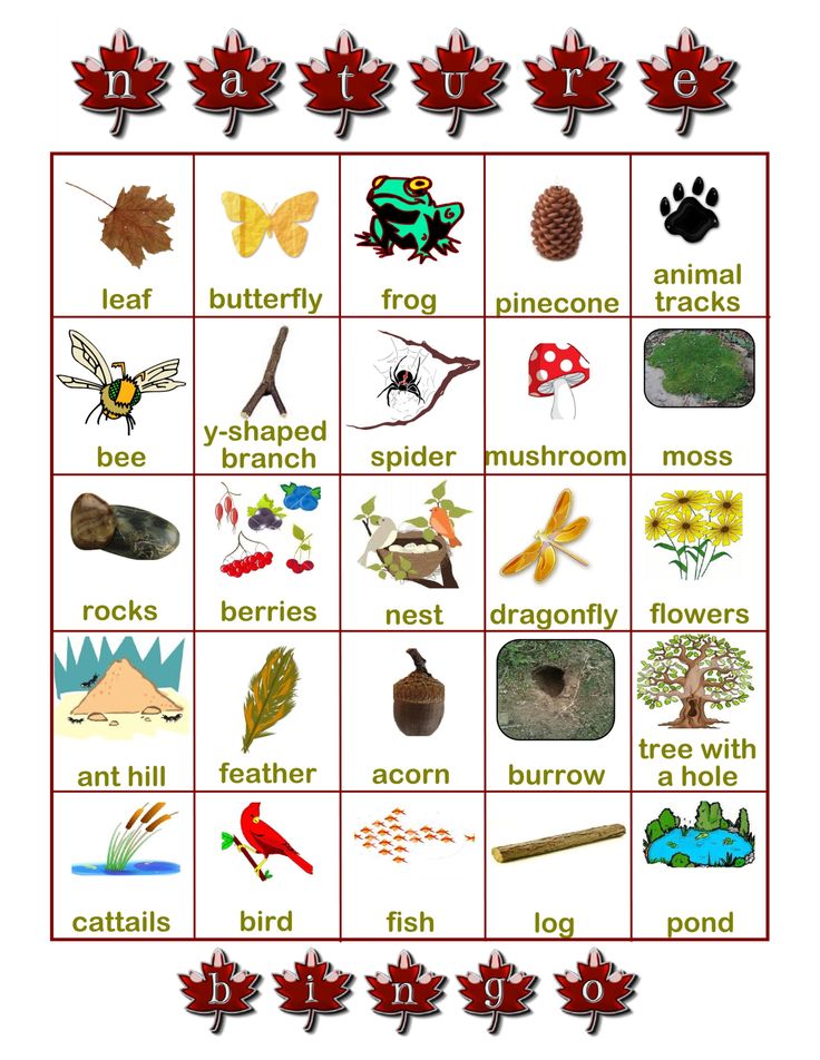 Nature Hunt Bingo Free Printable