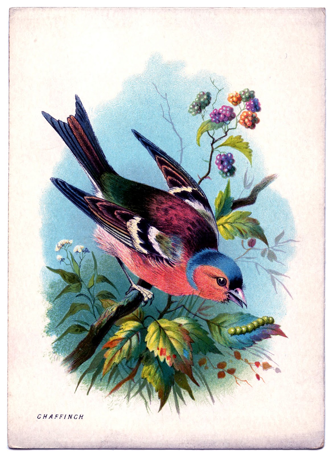 6-best-images-of-free-printable-vintage-bird-art-swallow-bird-clip