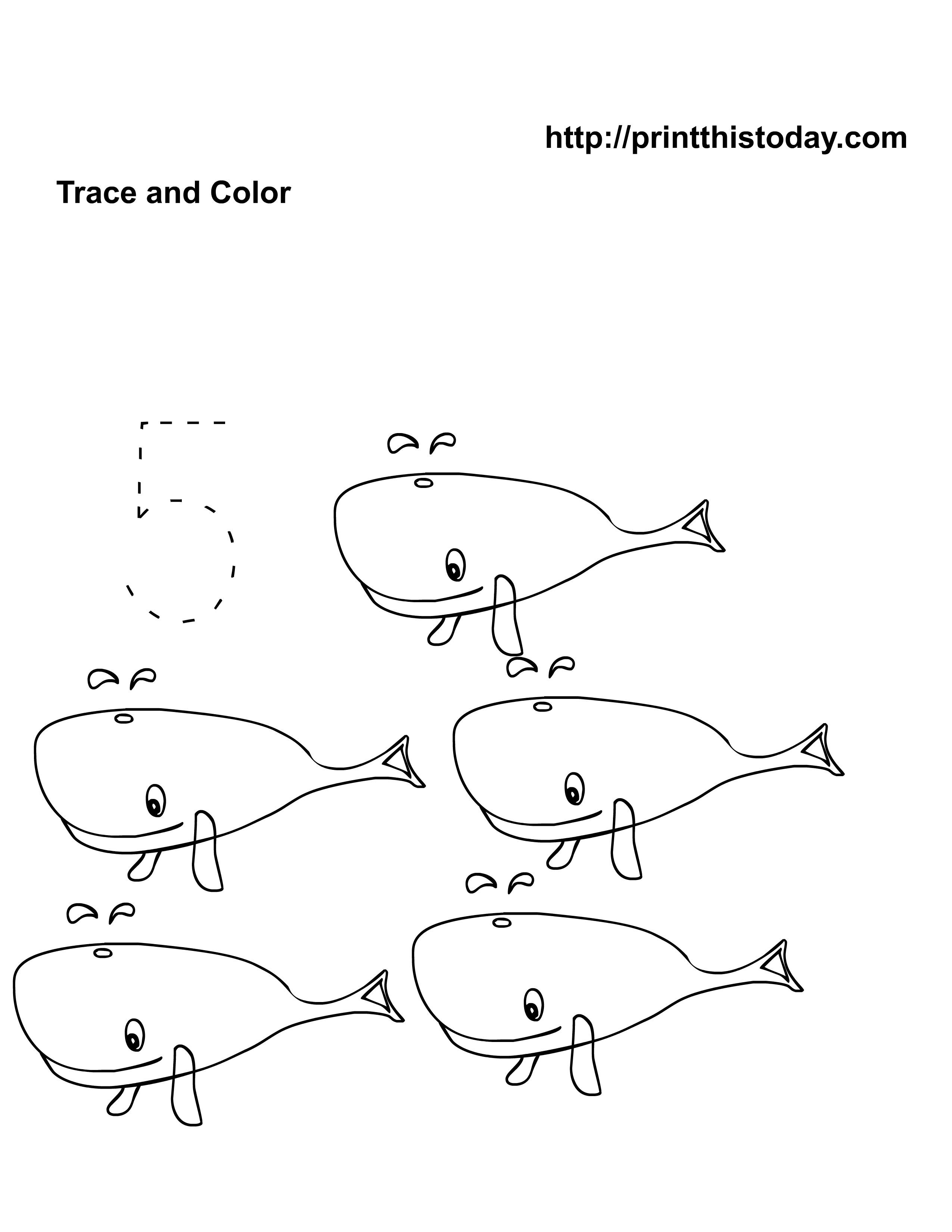 7-best-images-of-whales-art-free-printable-preschool-animal-coloring-pages-whale-preschool