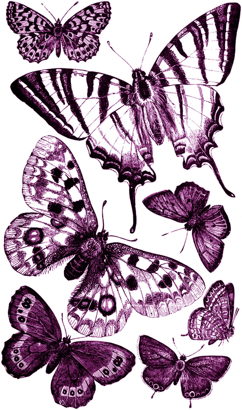 6-best-images-of-printable-butterfly-clip-art-free-printable