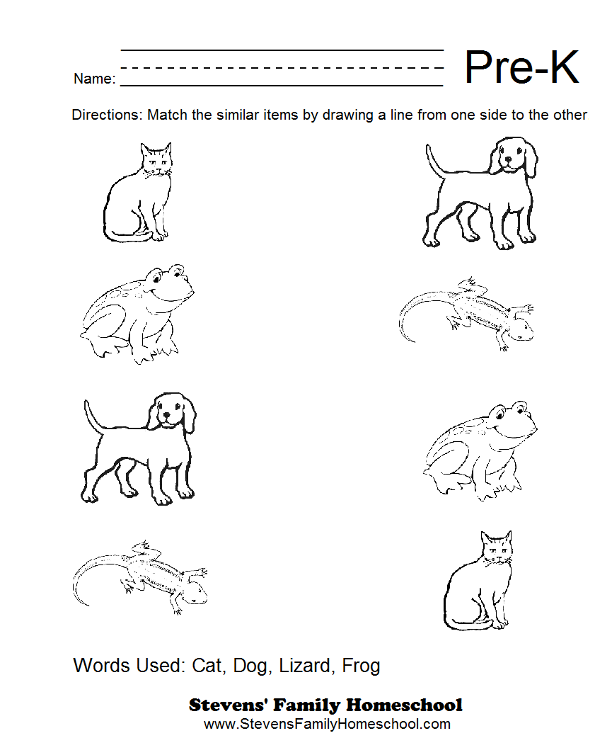 6-best-images-of-free-printable-pre-k-math-worksheets-pre-k-math