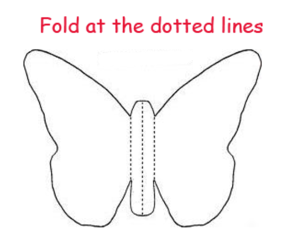 3d Butterfly Template