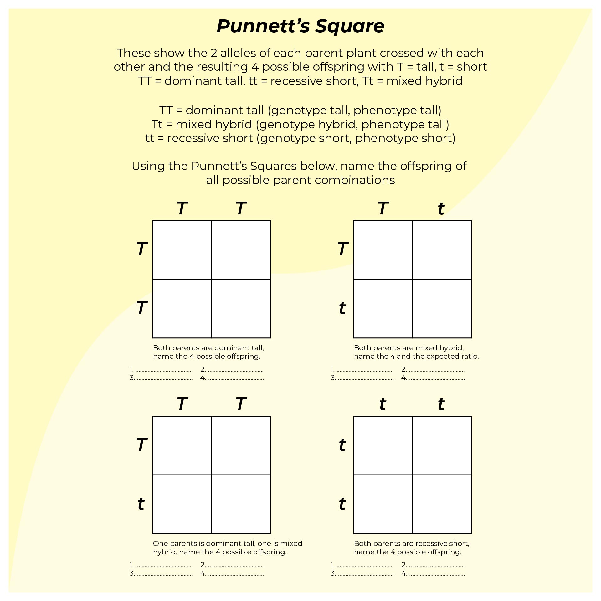 Punnett Square Practice Problems Worksheet