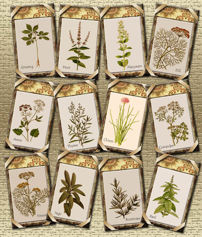 4-best-images-of-herb-garden-labels-printable-free-herb-garden-labels