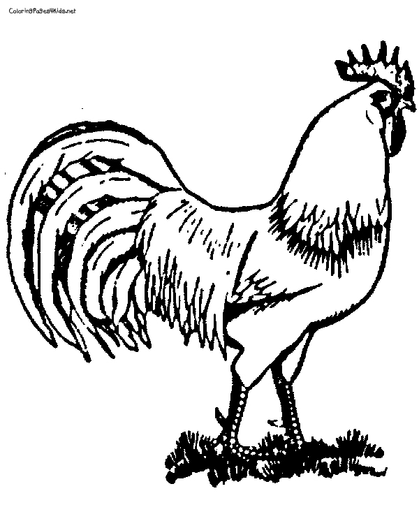 7 Best Images of Printable Pictures Of Roosters Printable Rooster