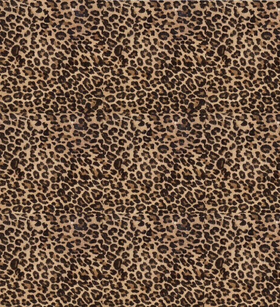 6 Best Images of Printable Cheetah Print - How to Draw Cheetahs Running ...