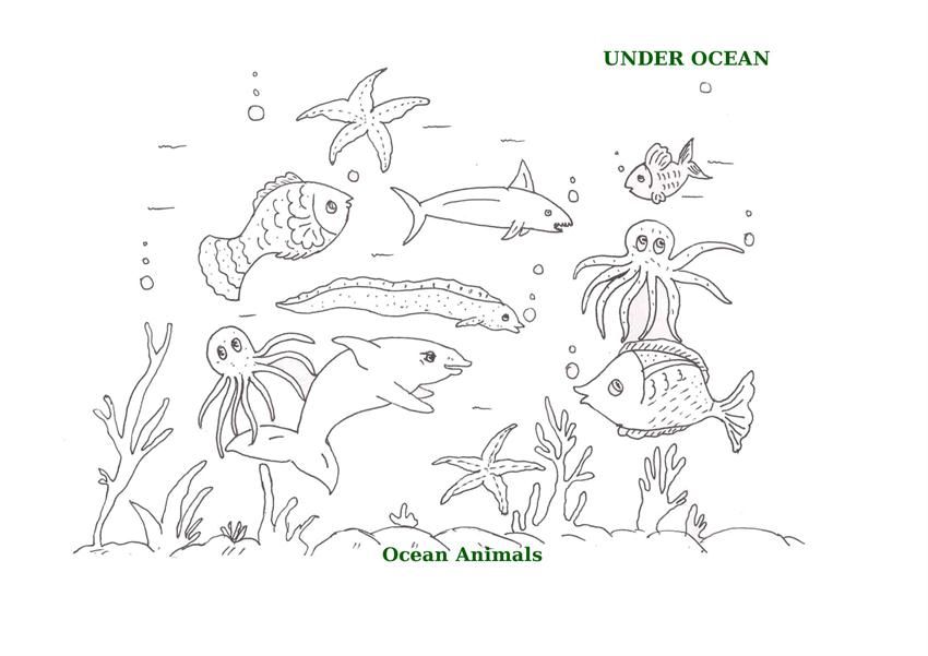 5 Best Images of Ocean Animals Printable Printable Coloring Page Sea