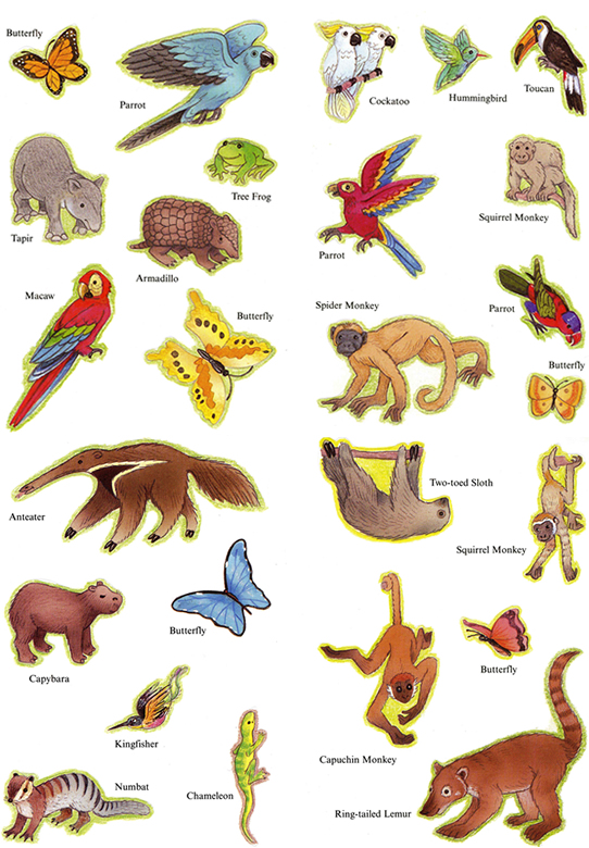 Rainforest Plants and Animals Printables