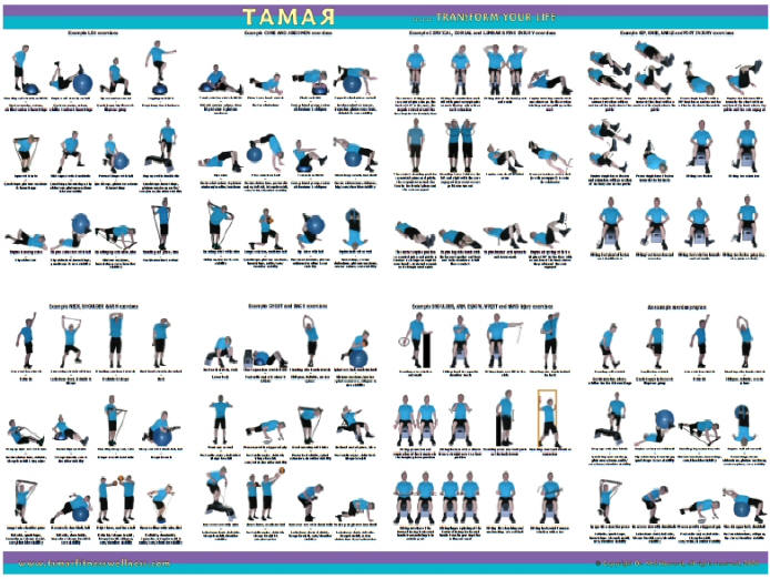 6-best-images-of-printable-weight-lifting-routines-weight-lifting-workout-routines-for-women