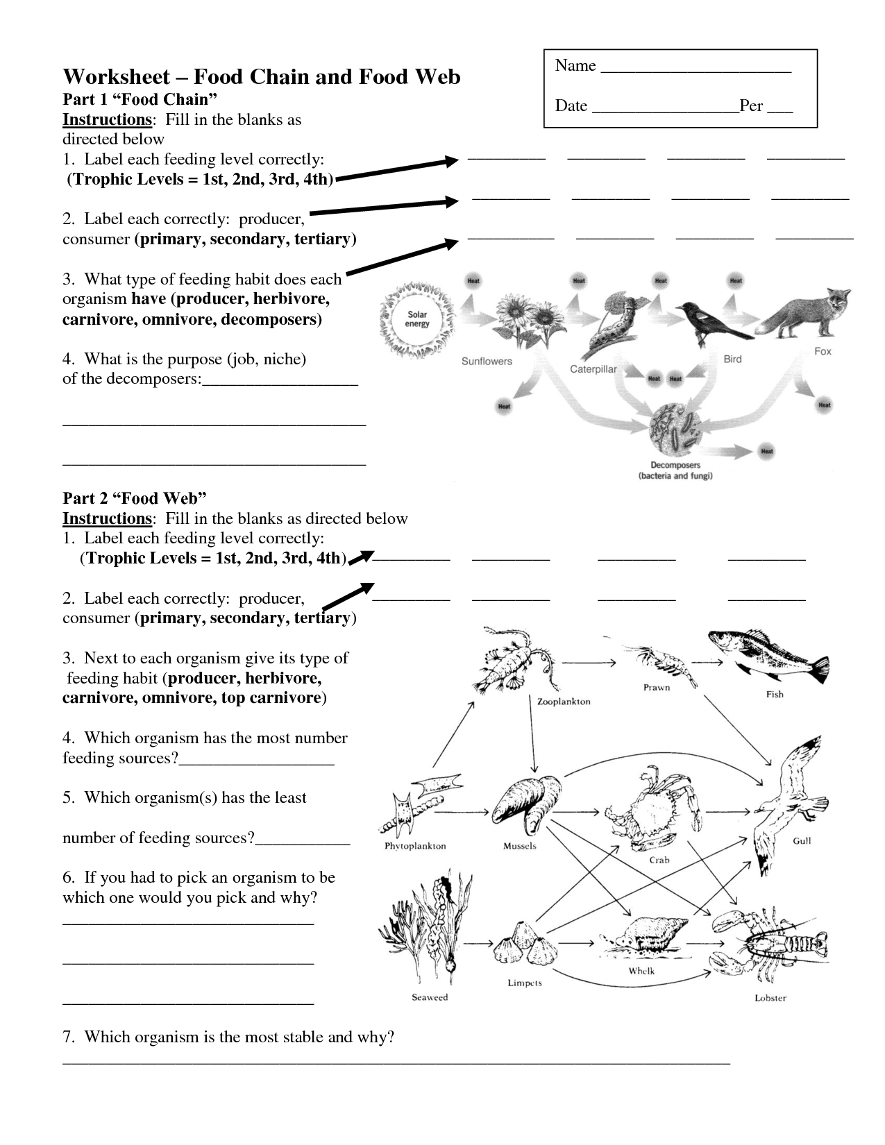 5-best-images-of-printable-food-web-worksheets-food-web-energy-pyramid-worksheet-food-chain