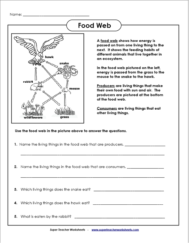 5-best-images-of-printable-food-web-worksheets-food-web-energy-pyramid-worksheet-food-chain