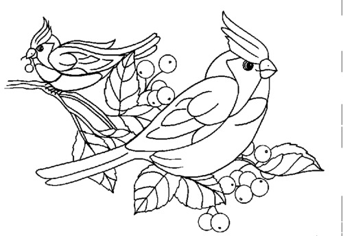 6 Best Images of Printable Bird Coloring Pages Preschool - Free