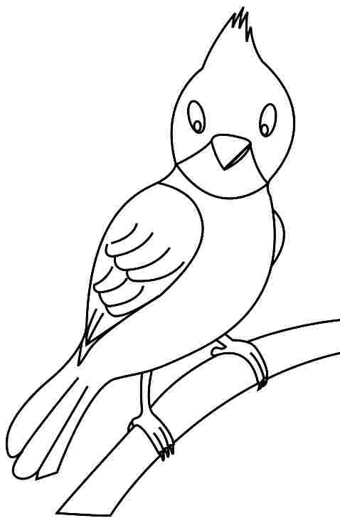 6 Best Images of Printable Bird Coloring Pages Preschool - Free