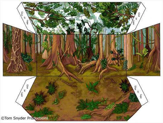 6-best-images-of-amazon-rainforest-diorama-printables-amazon
