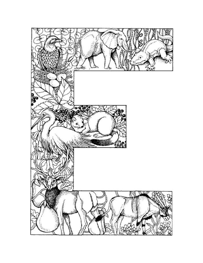 8 Best Images of Free Adult Coloring Pages Letter D Printables  Adult Coloring Pages Animal
