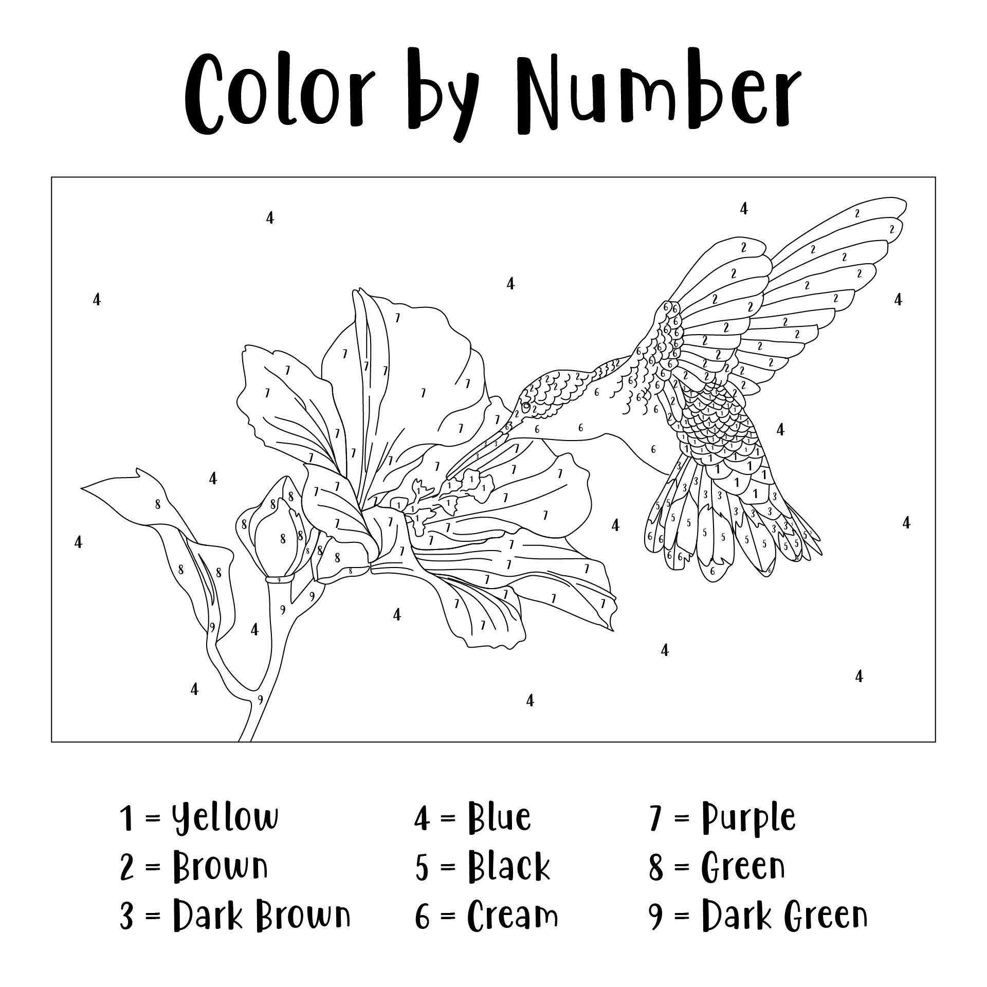 6 Best Images of Printable Paint By Numbers For Adults Printable