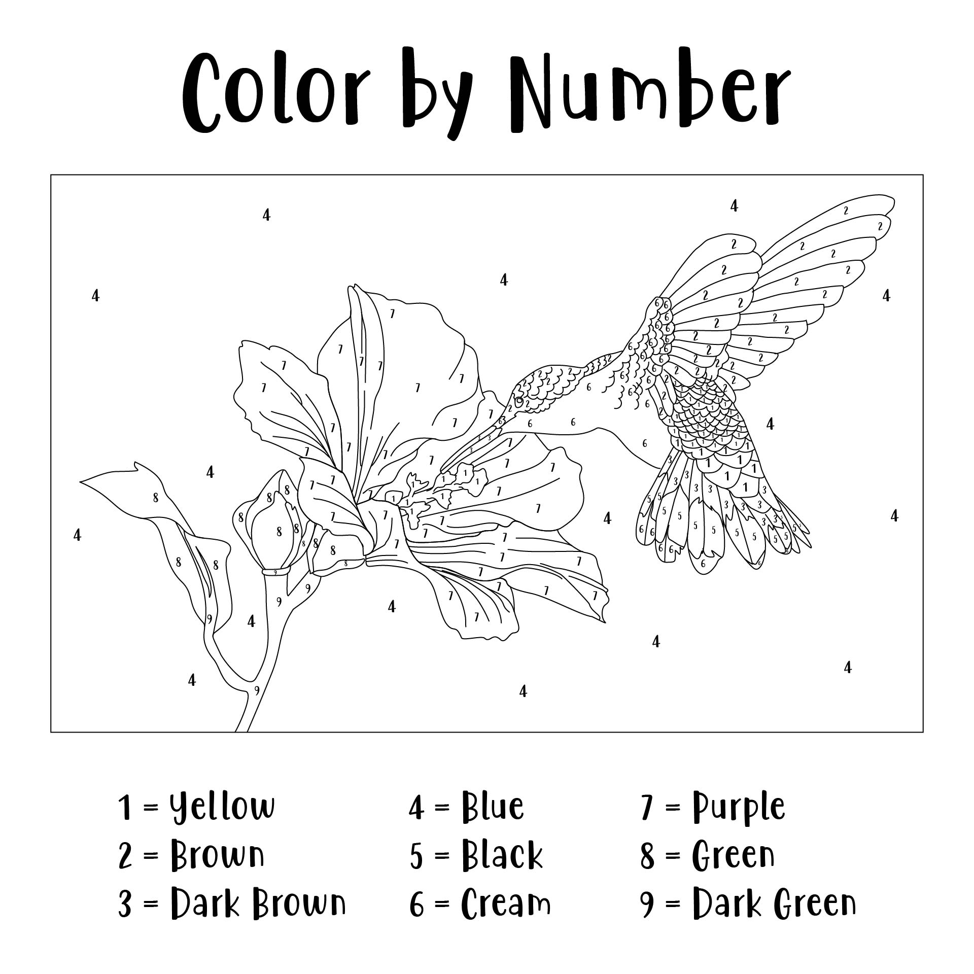 6 Best Images of Printable Paint By Numbers For Adults - Printable