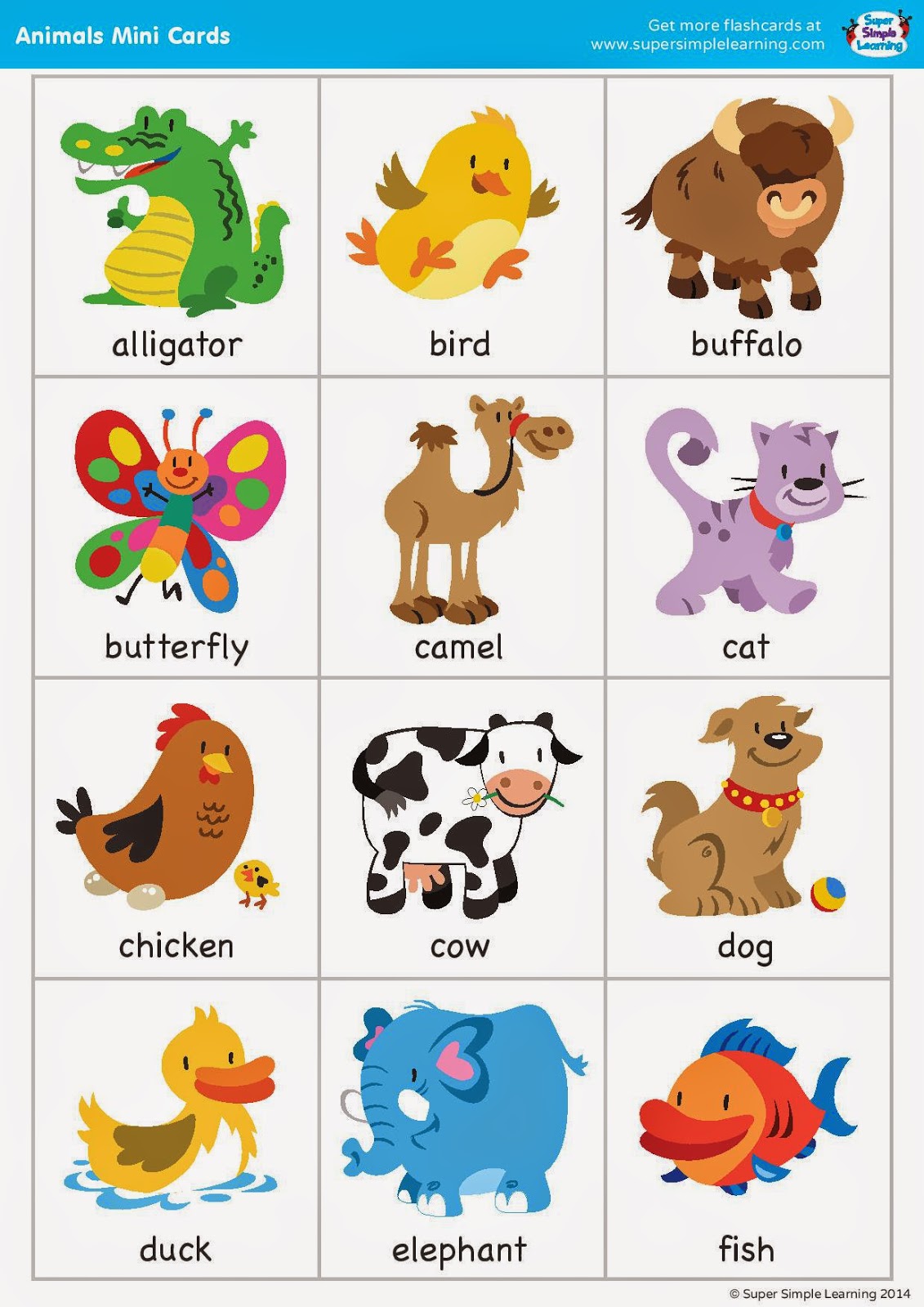 5 Best Images of Printable Zoo Animal Flash Cards Zoo Animals Flash