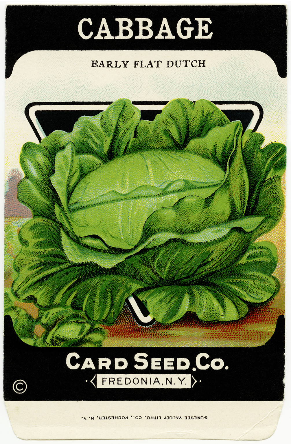 5 Best Images of Vintage Vegetable Seed Packet Printable Vintage
