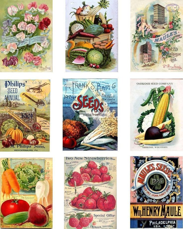 5-best-images-of-vintage-vegetable-seed-packet-printable-vintage