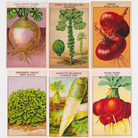 5 Best Images of Vintage Vegetable Seed Packet Printable Vintage