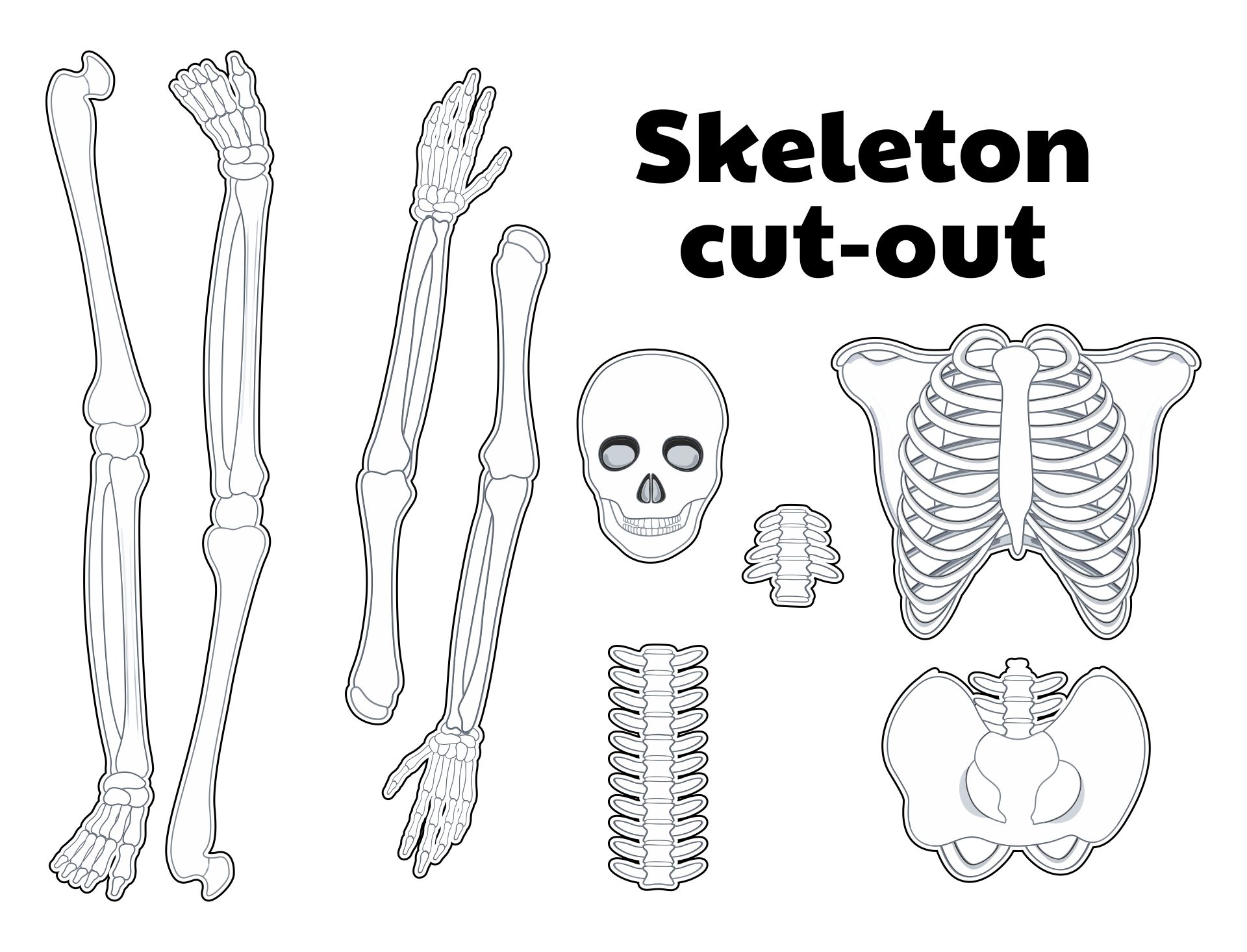 skeleton-cutout-holiday-halloween-skeleton-skeletons-2-skeleton