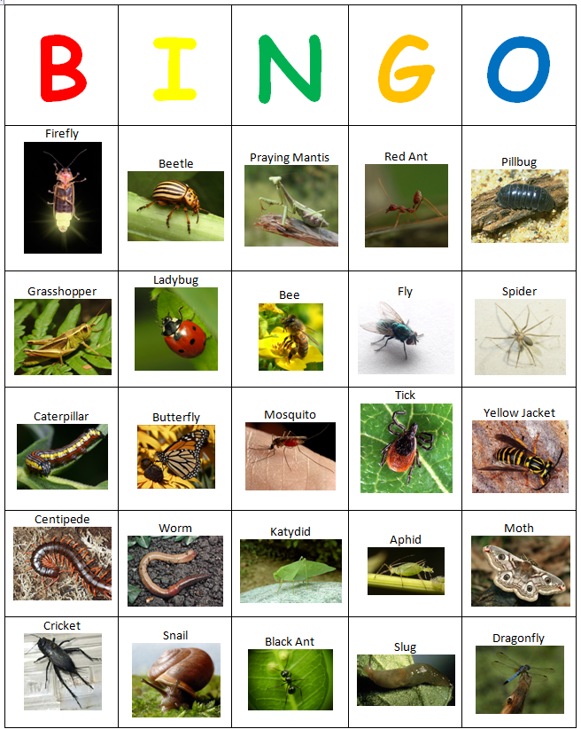 9-best-images-of-free-insect-bingo-printable-bug-bingo-printables