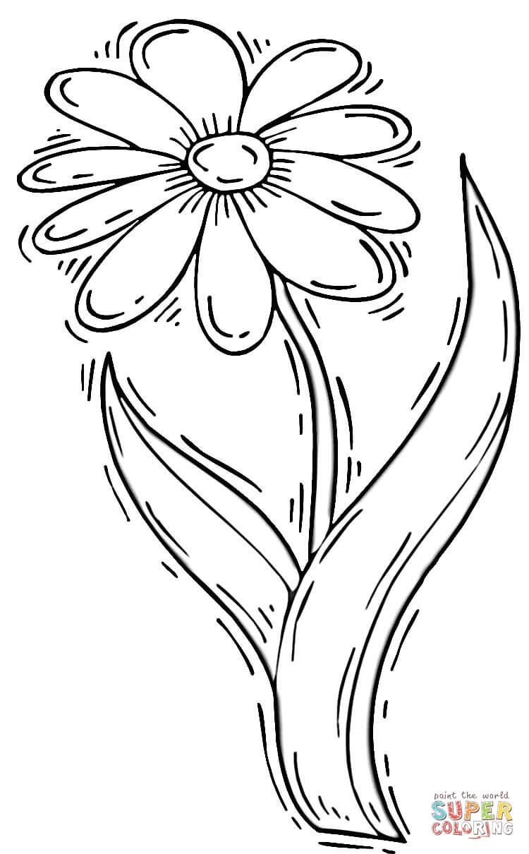 7 Best Images of Daisy Coloring Pages Printable - Girl Scout Daisy