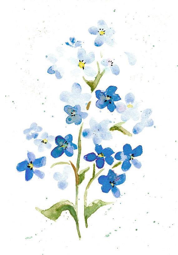 free clip art forget me not - photo #49