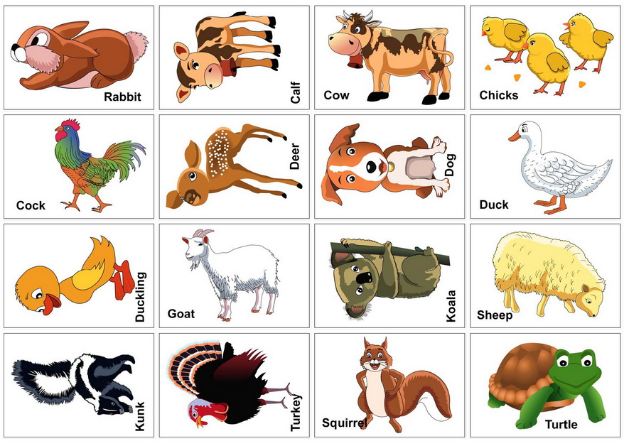 top-137-real-animal-flash-cards-printable-pdf-lifewithvernonhoward