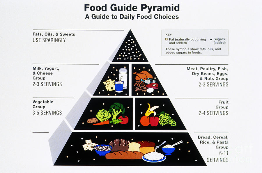 large-printable-food-pyramid-porn-sex-picture