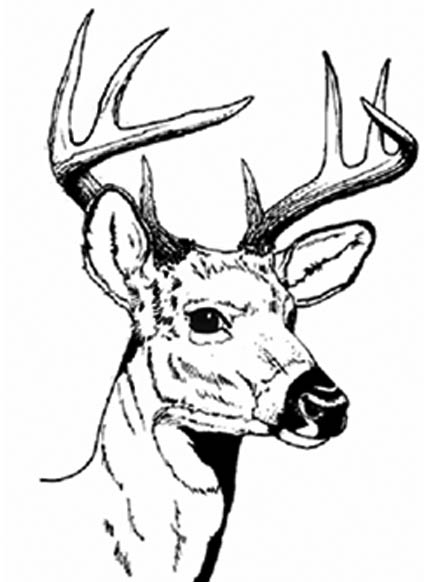 deer silhouette coloring pages - photo #7