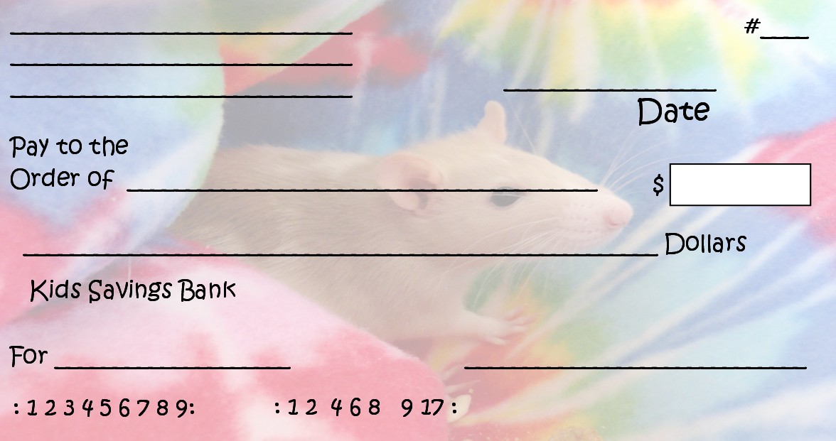 7 Best Images of Printable Fake Checks - Printable Play Checks for Kids