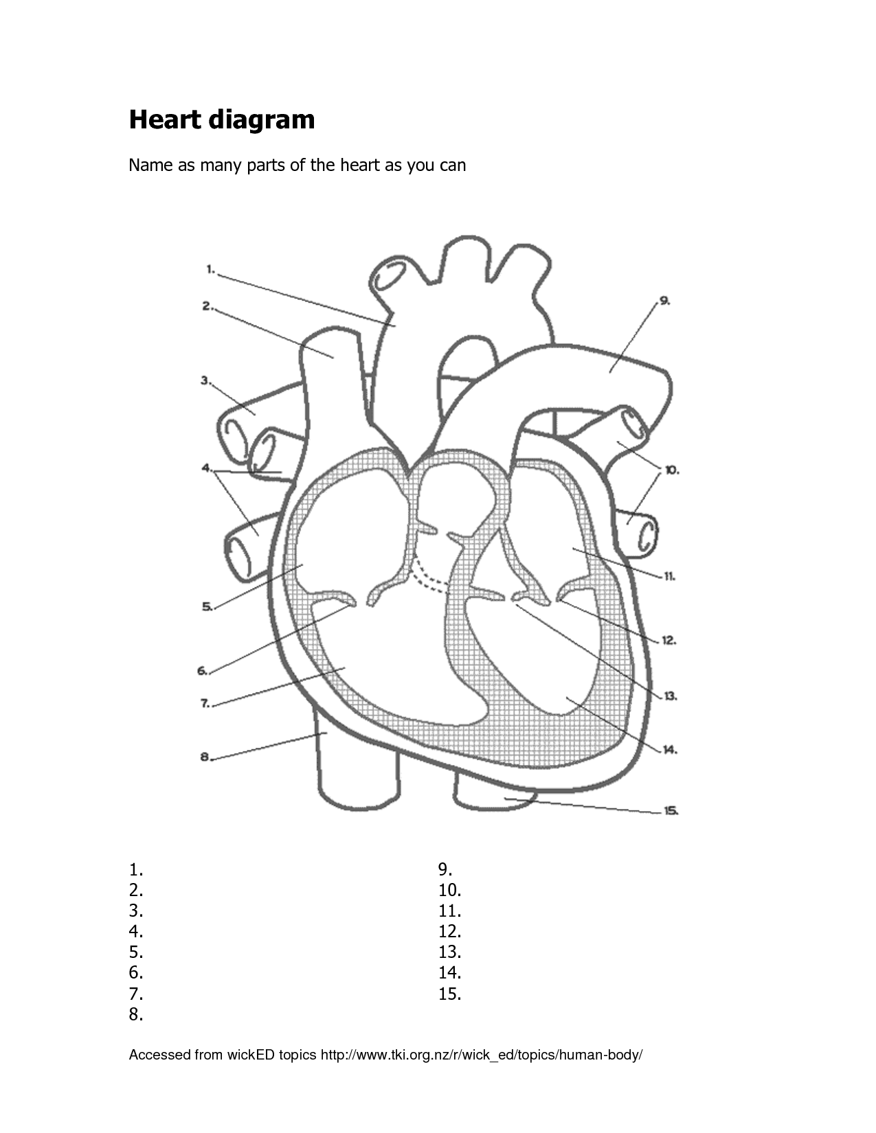 4 Best Images of Printable Heart Diagram To Label - Label ...