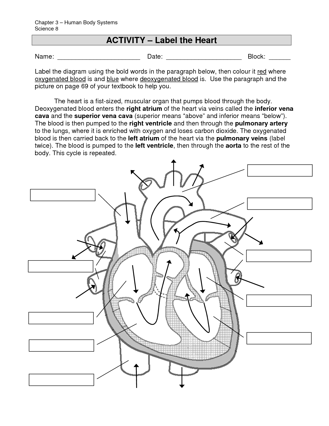 4 Best Images of Printable Heart Diagram To Label - Label ...