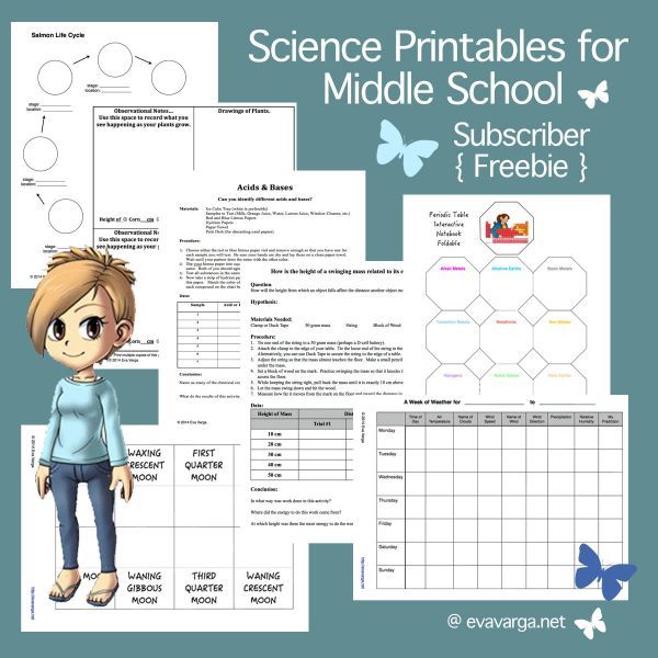 Science Worksheets Middle School Free Printable