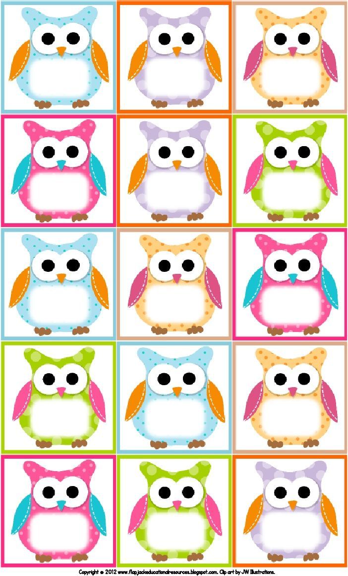 7-best-images-of-owl-themed-classroom-printables-owl-classroom-theme