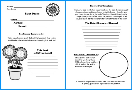 2nd grade book report example