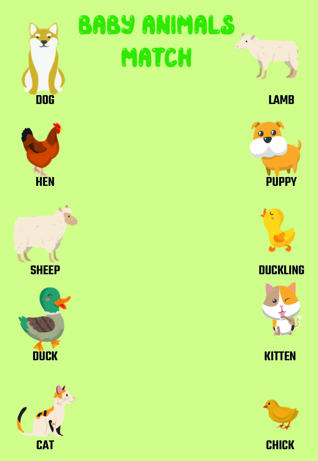 Animal Babies Worksheet