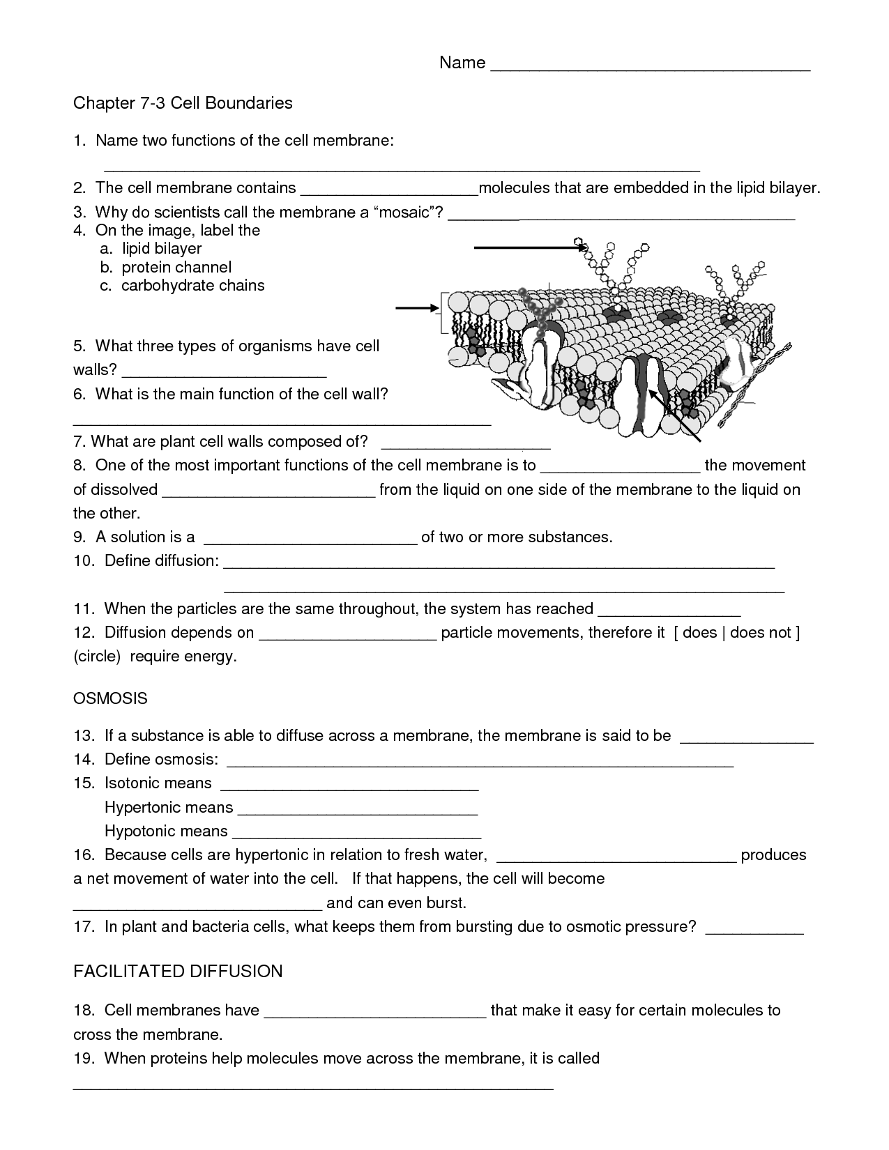7-best-images-of-printable-biology-worksheets-biology-cell-worksheets-cells-word-search