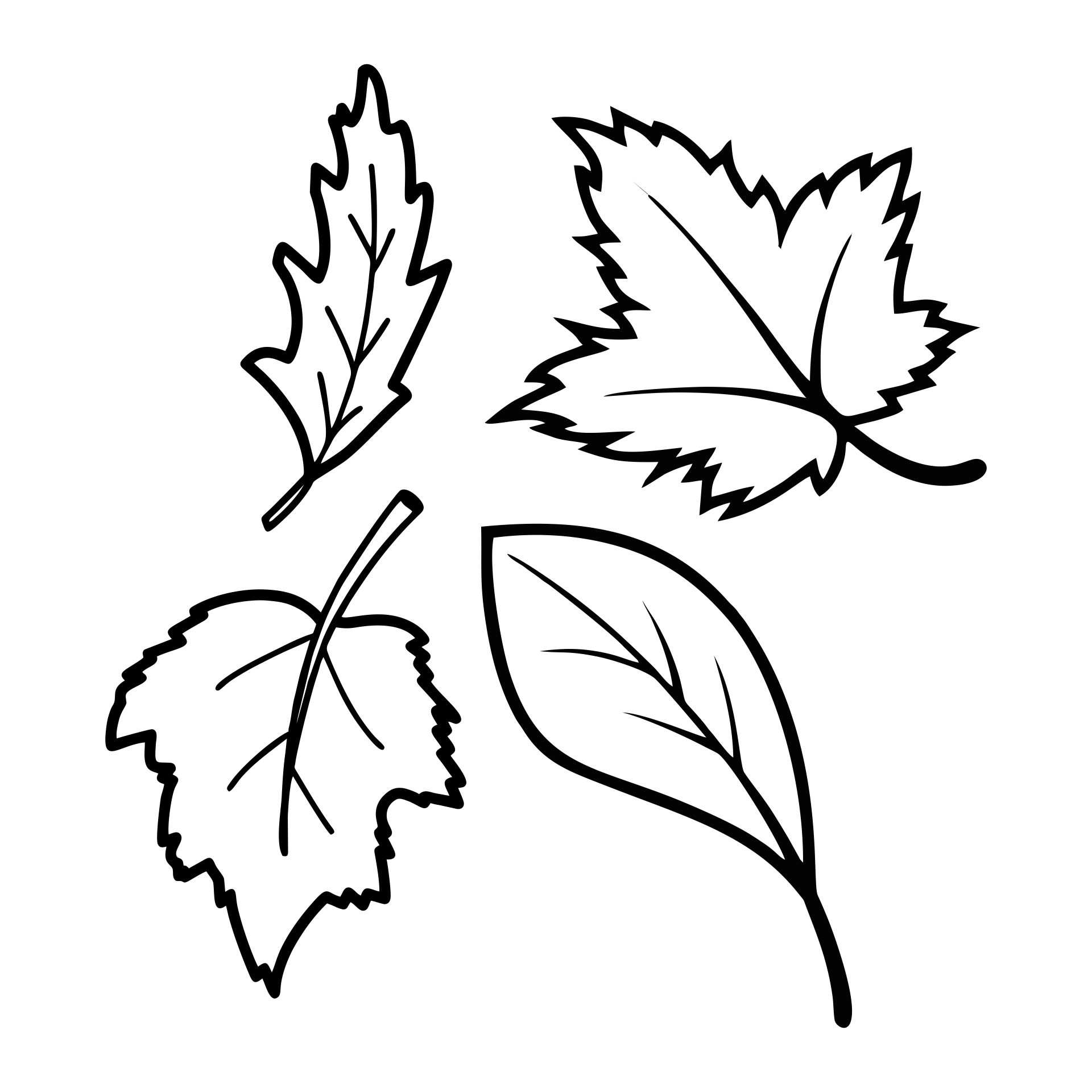 7 Best Images of Fall Leaves Worksheets Printables - Fall Leaf Coloring