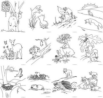 animals in the rainforest coloring pages - photo #15