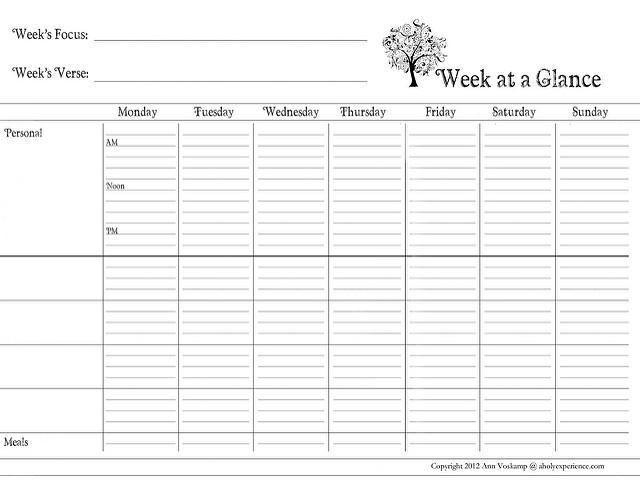 6-best-images-of-day-at-a-glance-printable-day-at-a-glance-lesson