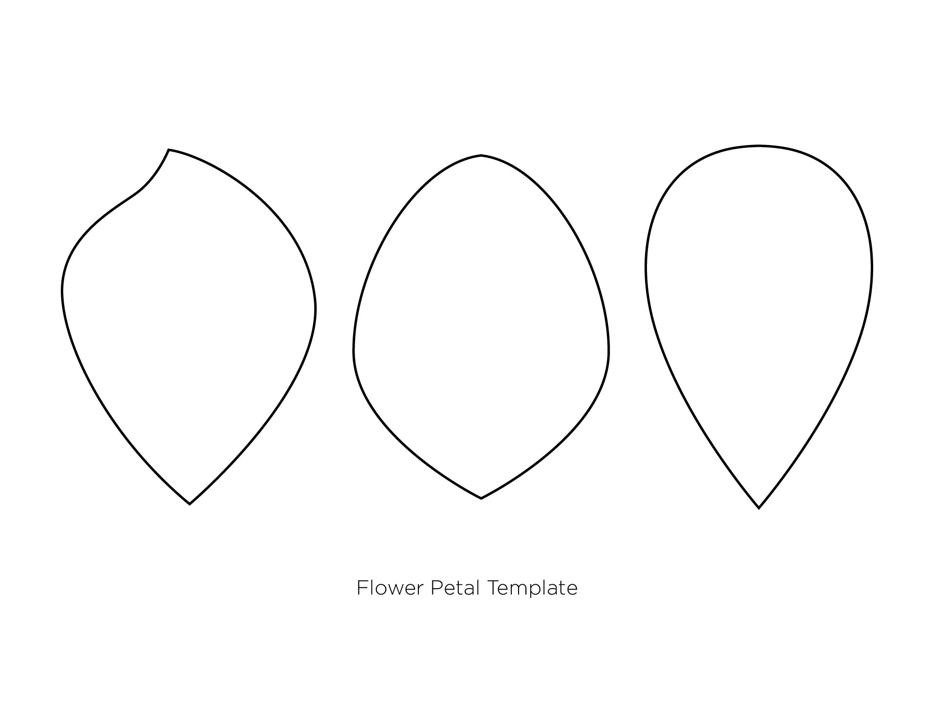 free-flower-petal-template-for-kids-download-free-flower-petal-template-for-kids-png-images