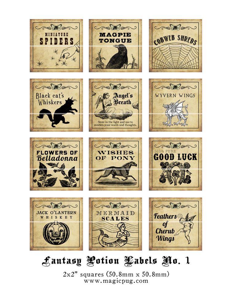 8 Best Images of Free Printable Potion Labels Free Printable