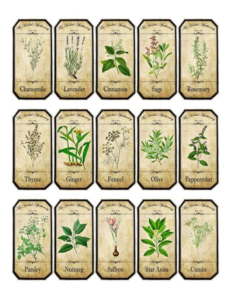 8-best-images-of-free-printable-labels-vintage-tea-free-printable