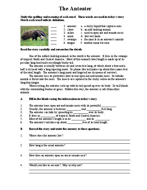 3-best-images-of-printable-reading-comprehension-worksheets-middle-school-middle-school