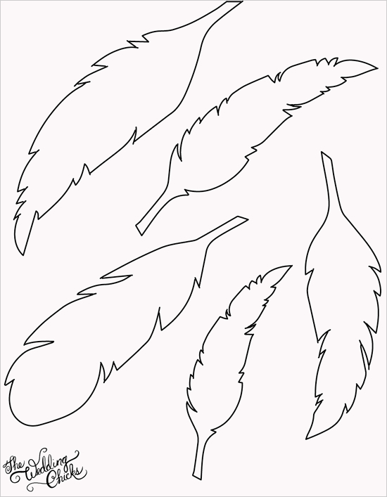 blank feather template