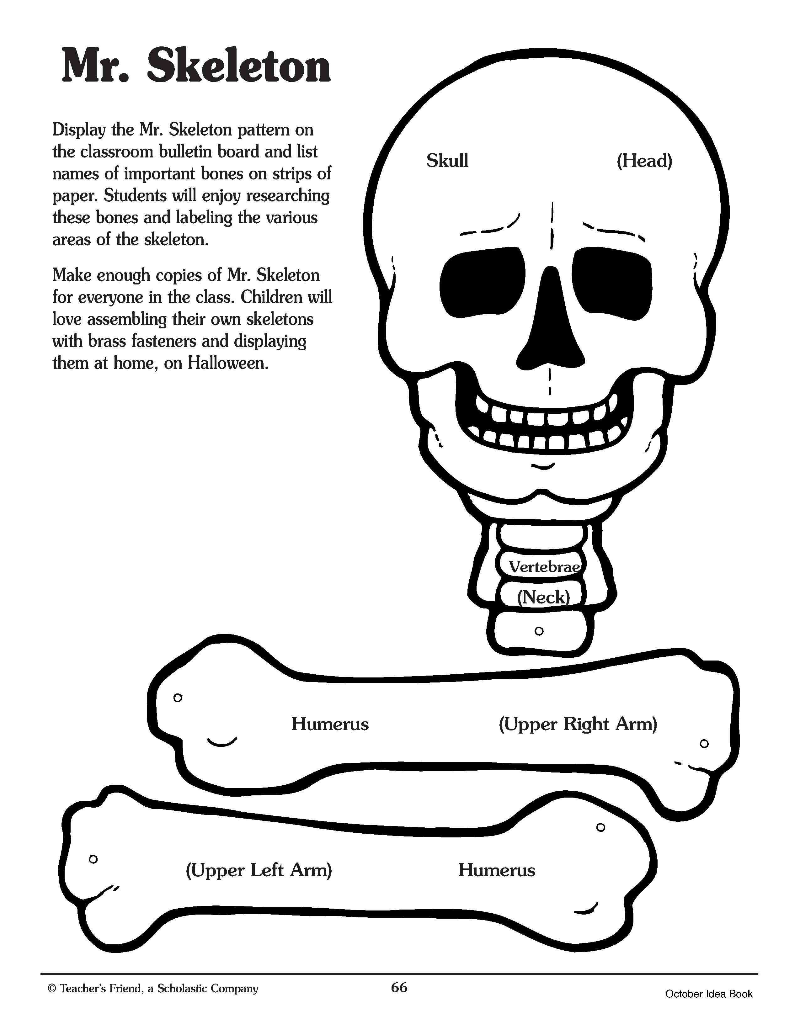 best images of printable build a skeleton